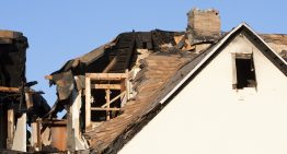 Proper Mold Remediation as Important Aspect of Disaster Repair Services