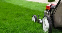 Lawn Care Services Year-Round