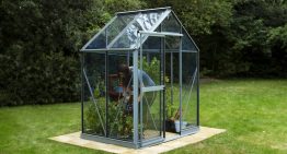 Evika Greenhouses- Reasons Why People Love It Most!