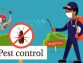 Take a step toward healthier and safer home by opting for regular pest control 
