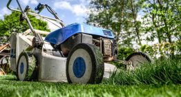 Are lawn service really expensive? Are they worth it?