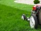 Lawn Care Services Year-Round