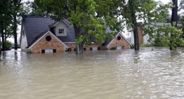 When a Water Disaster Occurs: What To Do Before The Arrival Of Disaster Restoration Company Avondale Arizona