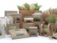 Eco Friendly Options for the Food Carriers