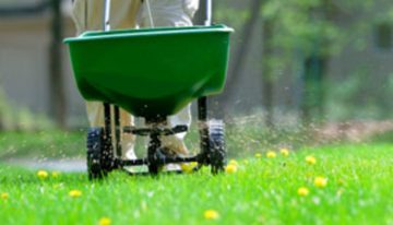 Benefits of organic fertilizers for your garden