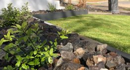 What are the Various Professional Landscape Bendigo Services Offered?