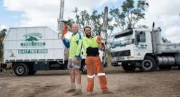 Tree Removal service Townsville