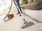Advantages of using the best carpet cleaners