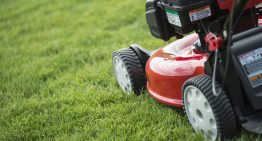 A Guide for Picking the Best Mower