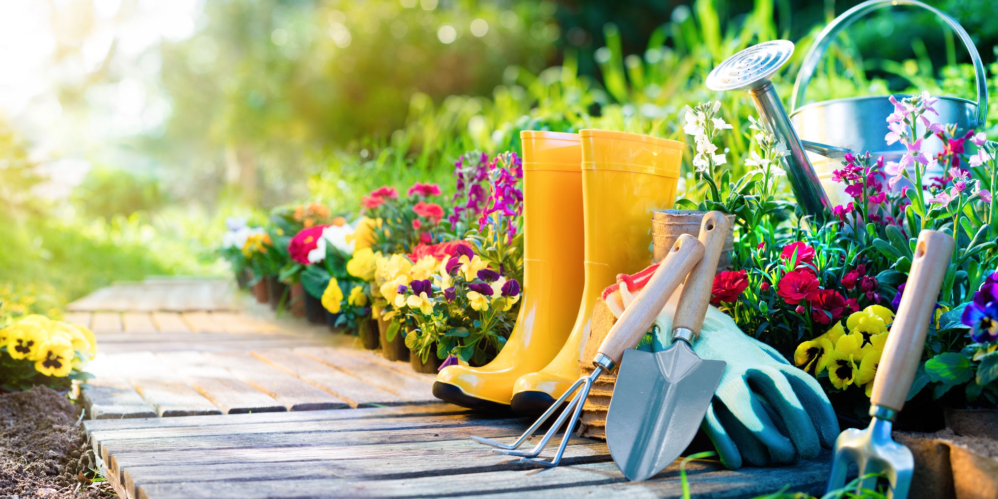 Tips for caring for plant nurseries