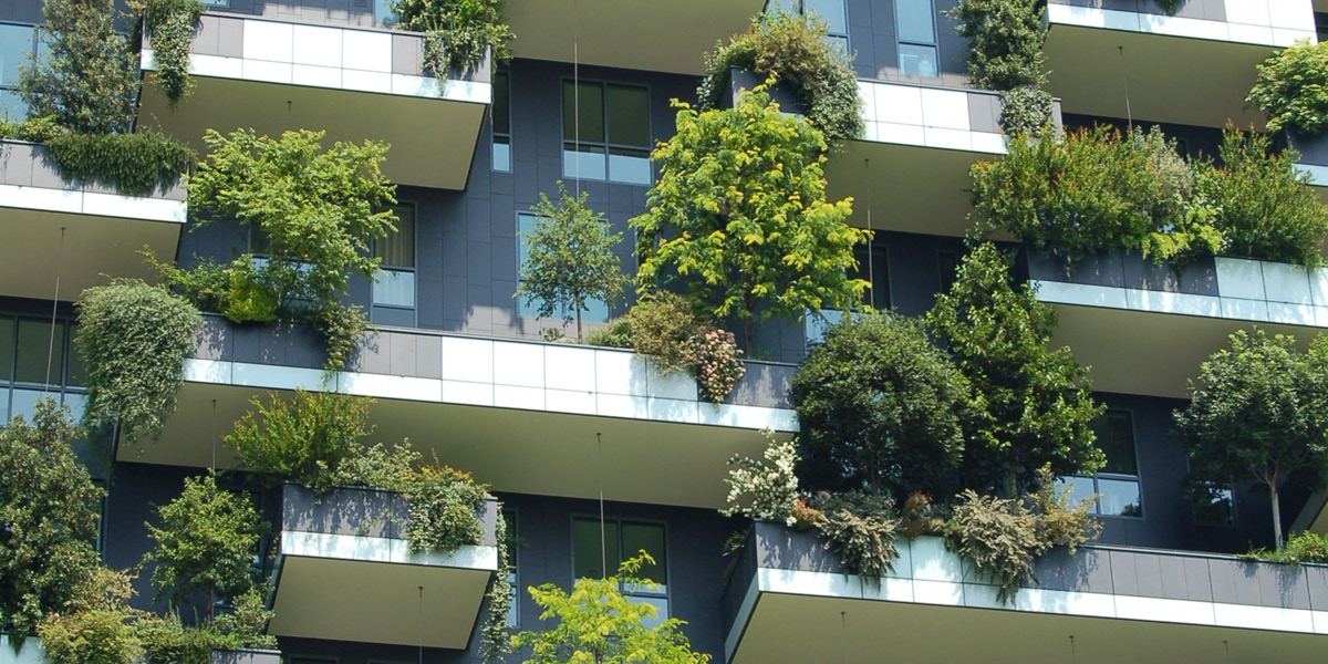 Urban Greening and the Future of Sustainable Cities