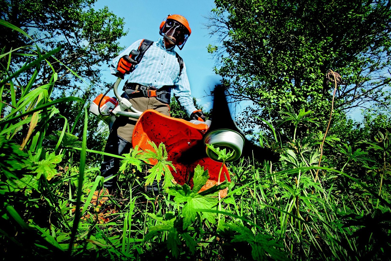 Garden, grass cutter, gardening — 5 Things You Can Do to Lower Your Moving Bill Before We Arrive