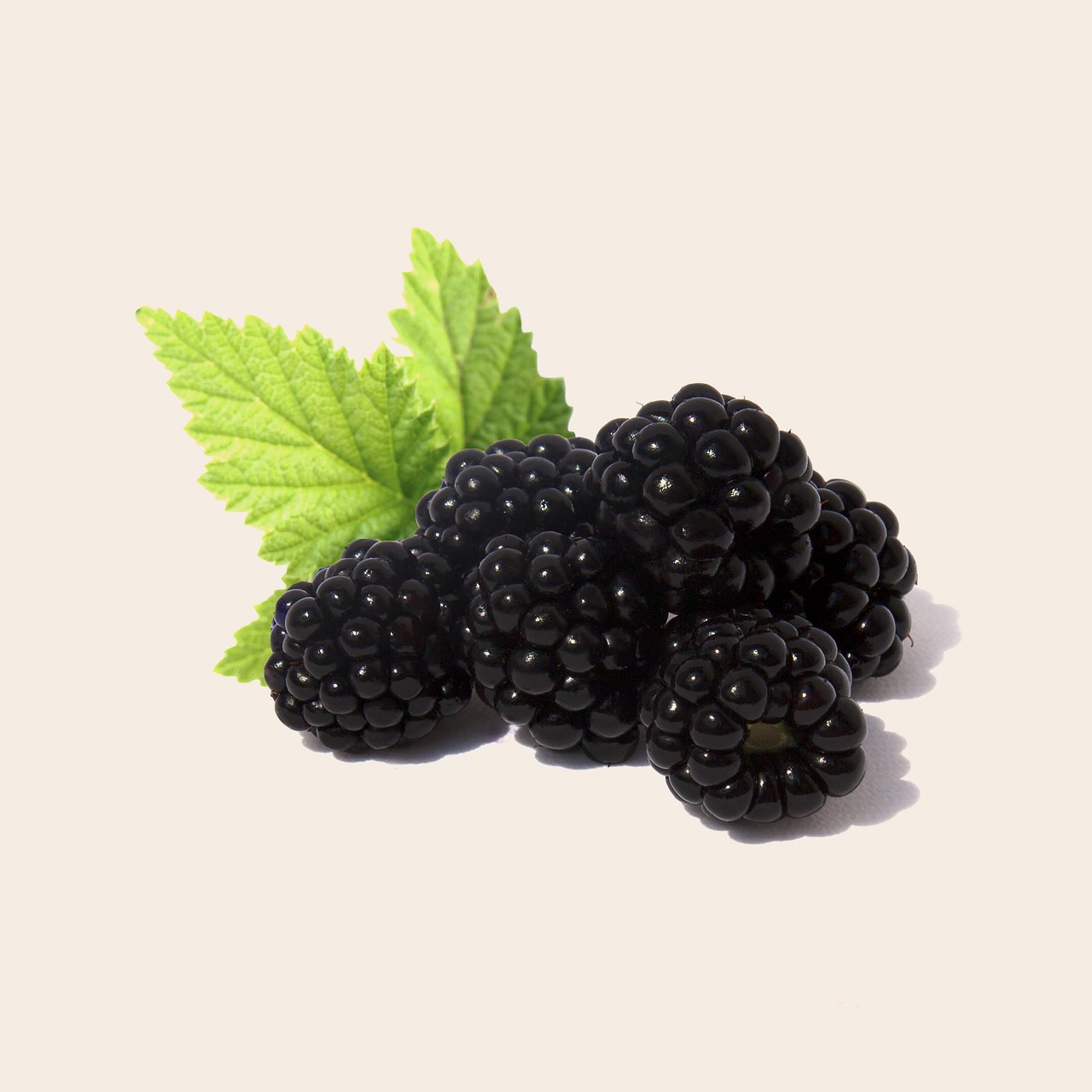 Blackberries, fruit, health — Navigating the World of Sleeping Tablets in the UK: Understanding Options and Considerations